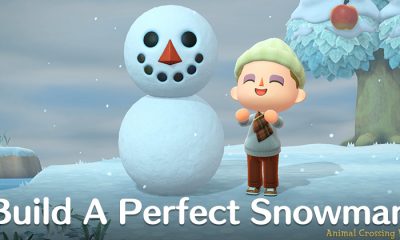 Build a Perfect Snowboy