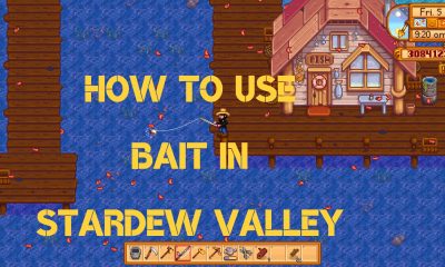 Stardew Valley How to Use Bait