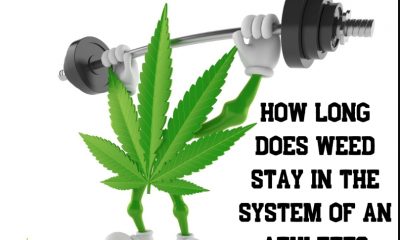 How Long Does Weed Stay in the System of an Athlete
