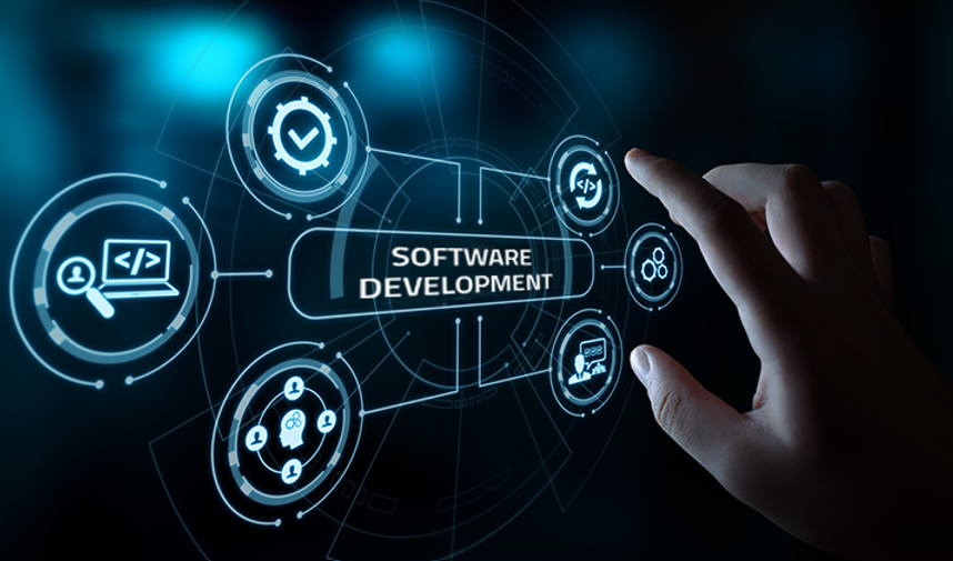 customer software development