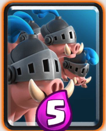 Royal Hogs