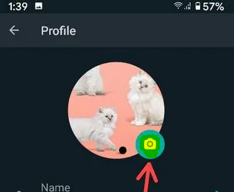 How to Change WhatsApp Profile Picture on Android