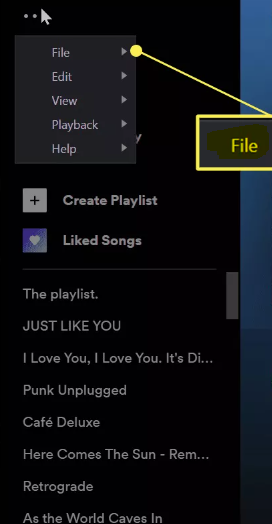 How to Go Offline in Spotify on Desktop