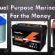 Best Dual Purpose Marine Battery