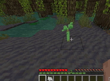 How to Grow a Mangrove Tree in Minecraft