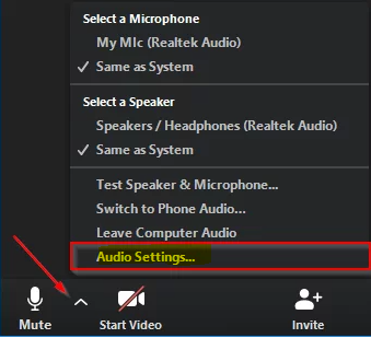 How to Adjust Volume in a Zoom Meeting