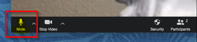 How to Mute Yourself on a Zoom Call