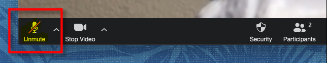 How to Mute Yourself on a Zoom Call
