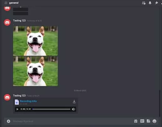 How To Share Audio On Discord on Computer