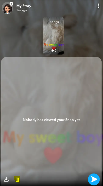 How to Delete a Snapchat Story