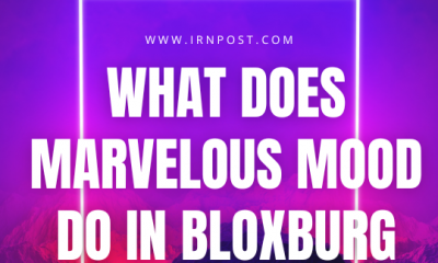 What Does Marvelous Mood do in Bloxburg