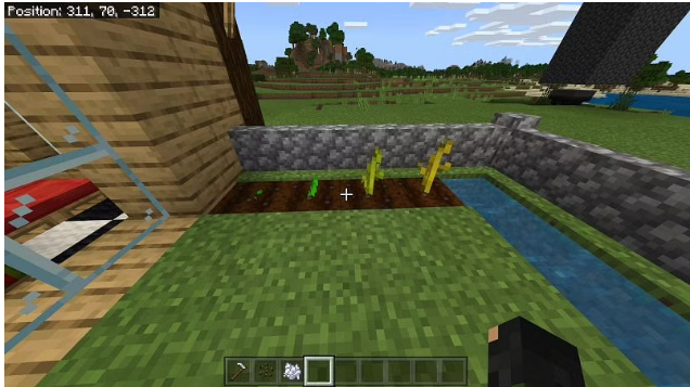 How to Grow Melons in Minecraft