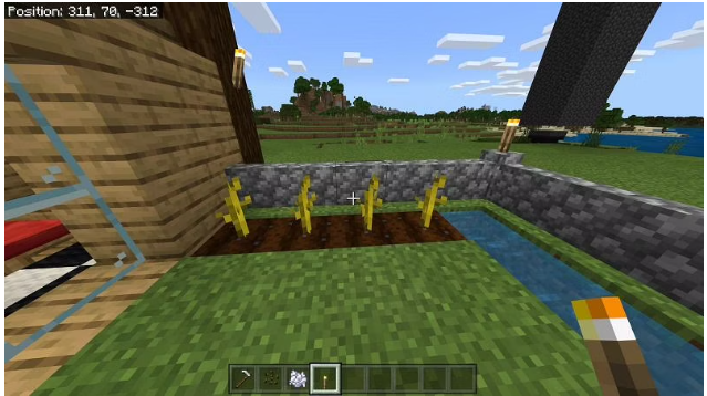 How to Grow Melons in Minecraft