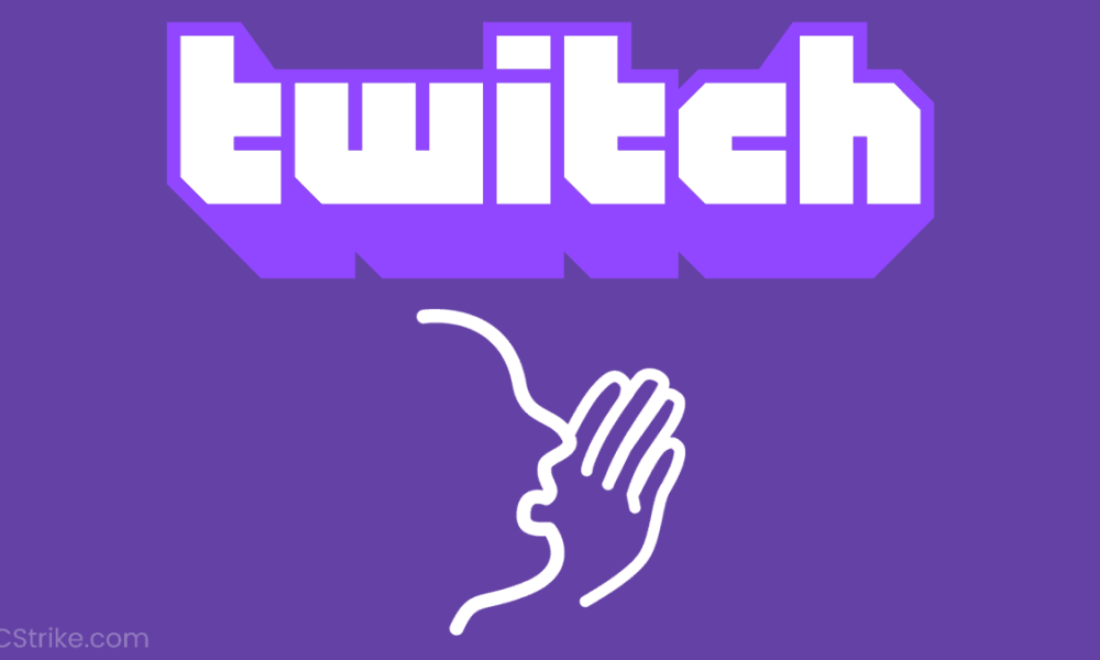 Twitch запись