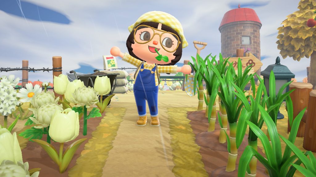 How to Get Sugarcane in Animal Crossing