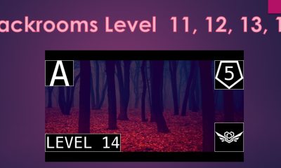 Backrooms Level 11, 12, 13, 14