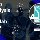VRIO Analysis of Adalah