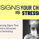 8 Early Warning Signs That Your Child is Stressed About Schooling