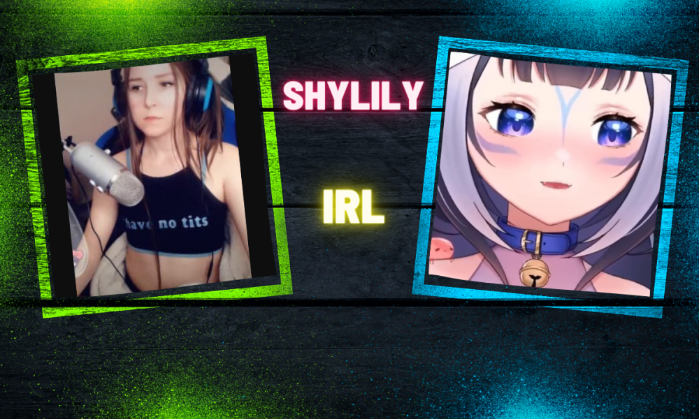 Shylily Face in Real Life (IRL) With Some Interesting Facts