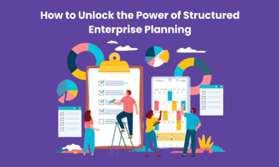 Structured Enterprise Planning
