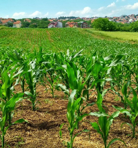 Smart agriculture Strategies for a resilient future