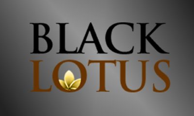 black lotus casino
