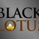 black lotus casino
