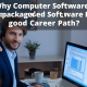 is computer software prepackaged software a good career path