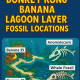 donkey kong bananza lagoon layer fossils