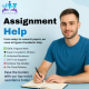 How Assignment Help Plants the Seeds of Smart Studying